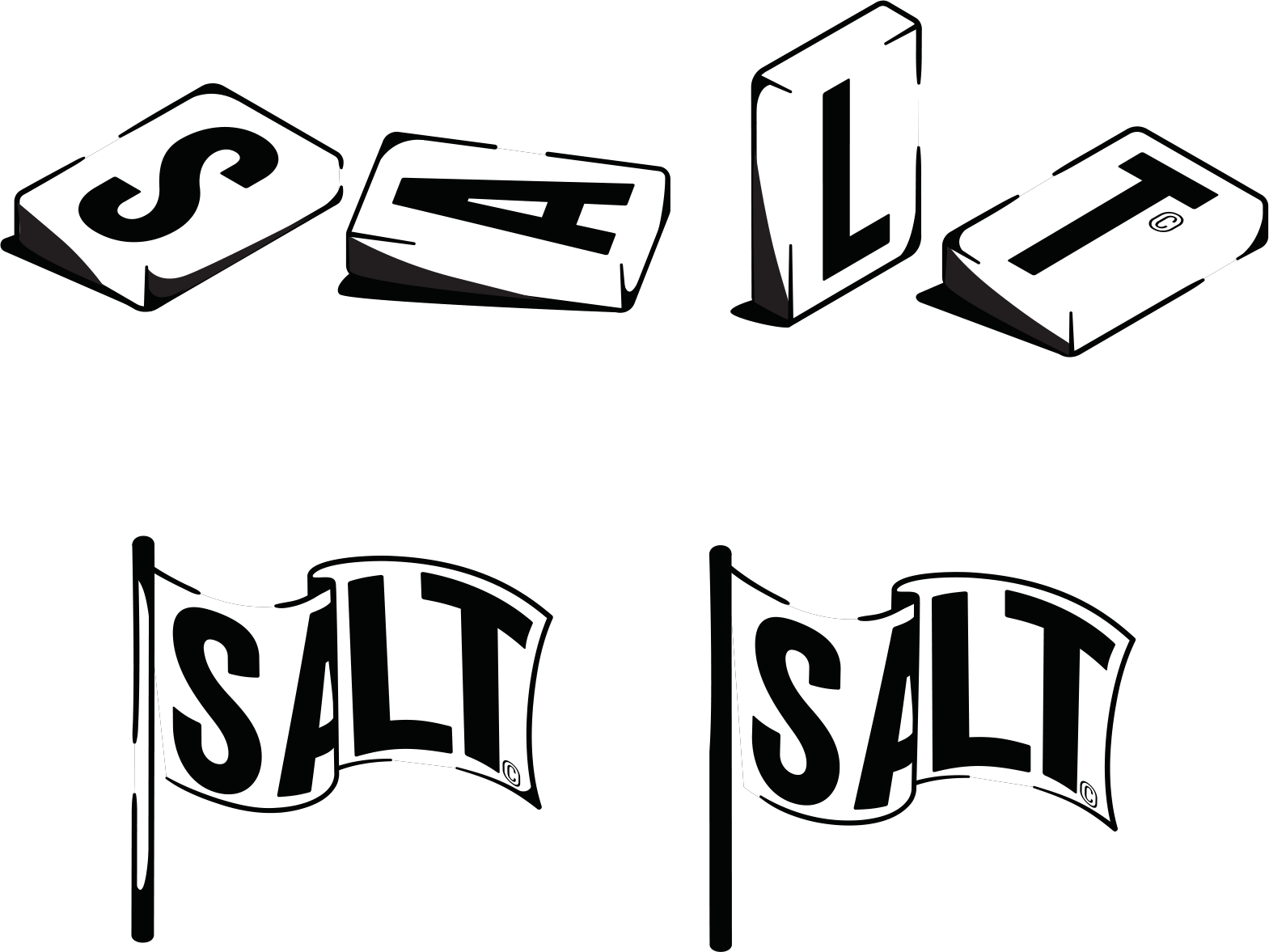 SALT letters and flags